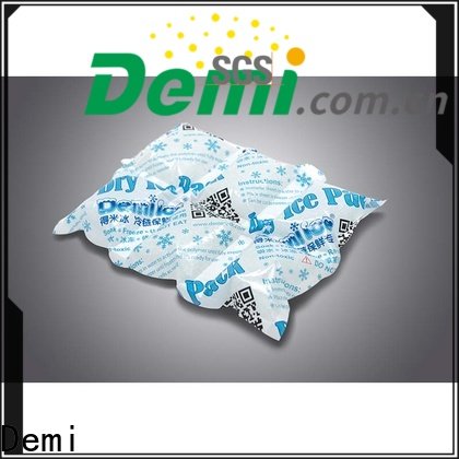 Demi dry ice pack for food
