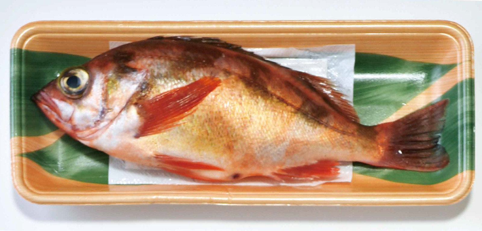Demi designed food absorbent pad to absorb excess oil for cut fish fillets