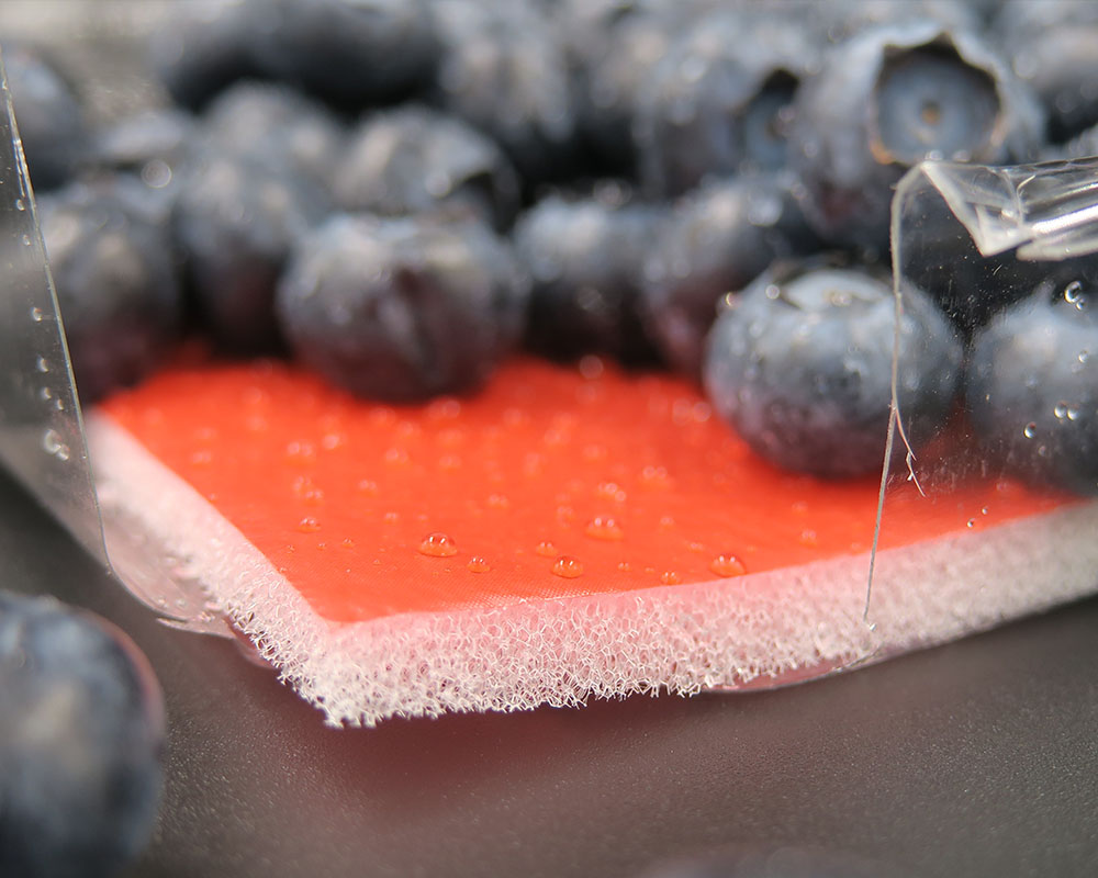 exceptional super absorbent pads strawberry maintaining great product presentation for fruit-5