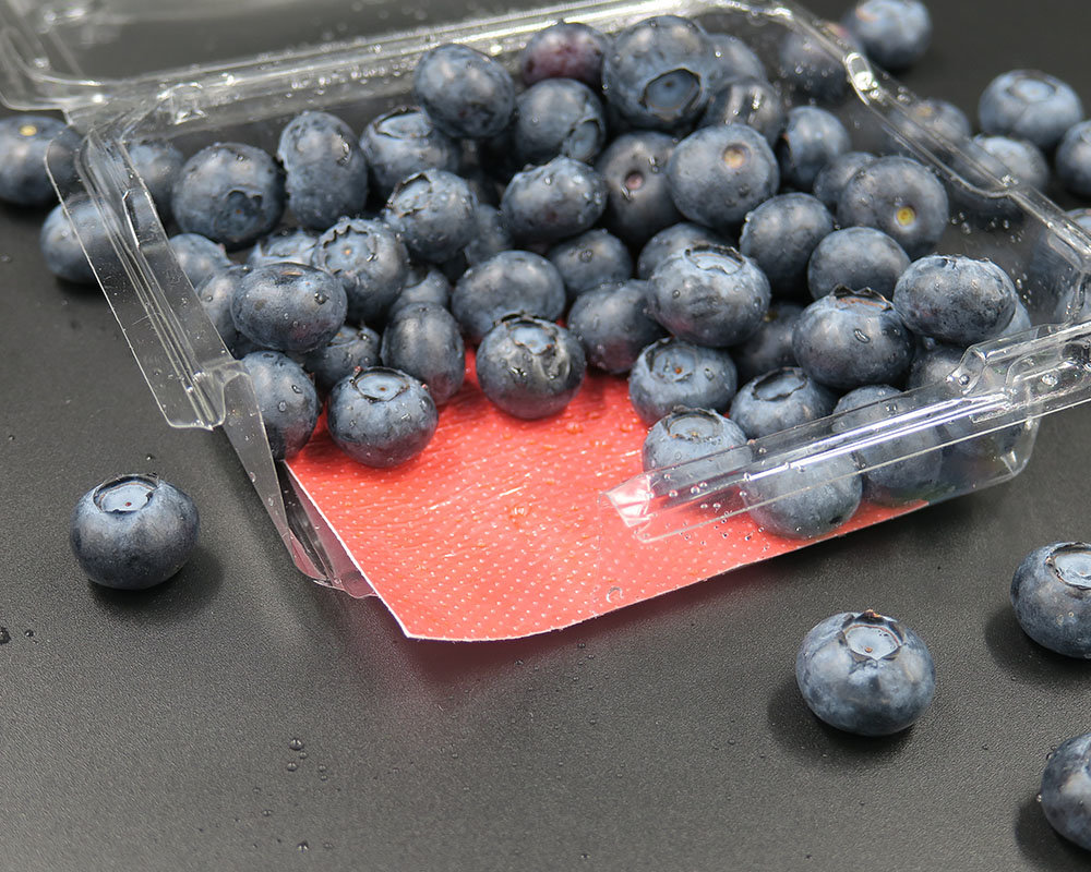 Demi professional Absorbent fruit pads to ensure the best possible food for blueberry