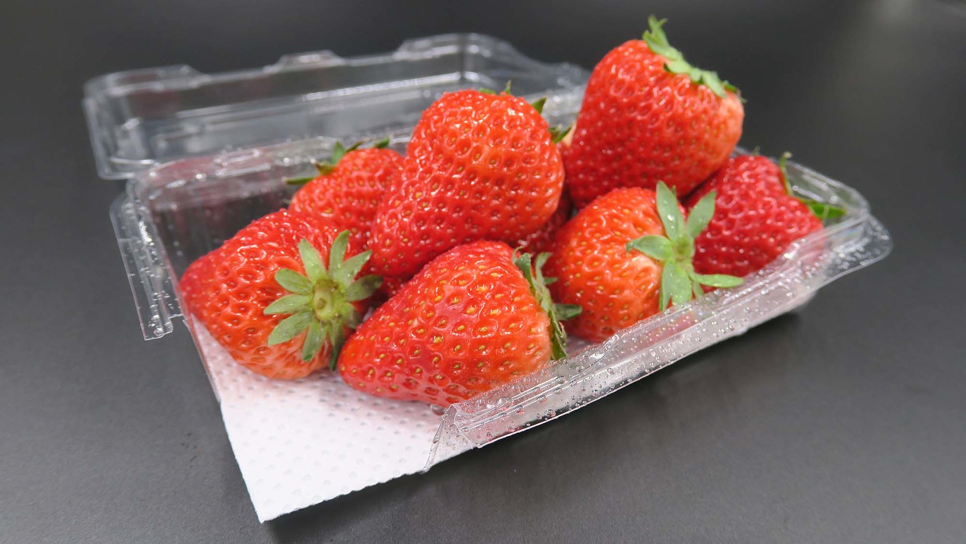 Demi Absorbent fruit pads maintaining great product presentation for fruit
