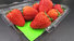 natural customized fiber strawberry Demi Brand super absorbent pads supplier