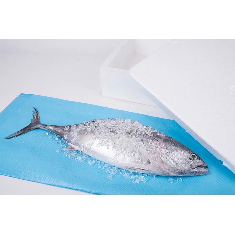 pad absorbing Demi Brand Absorbent seafood pads