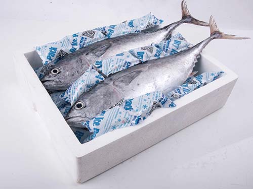 Custom Design Dry ice pack for food-6
