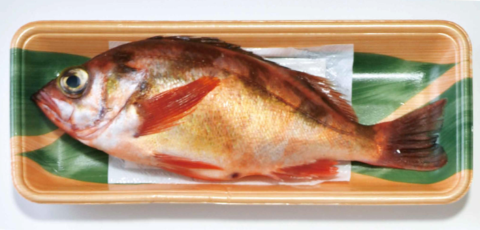 Demi designed food absorbent pad to absorb excess oil for cut fish fillets-1