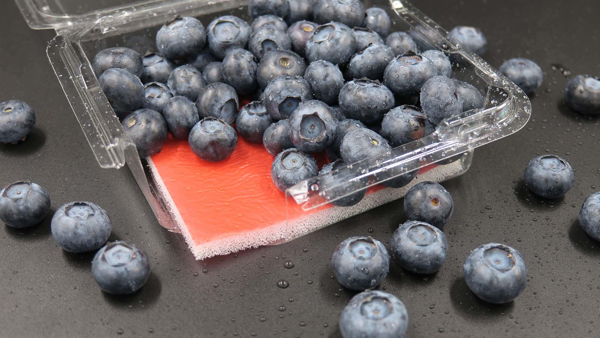 exceptional super absorbent pads to ensure the best possible food for blueberry-1